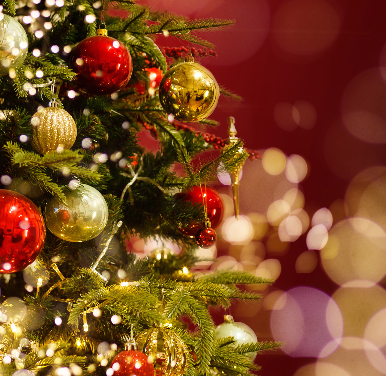 【Menu Noël】クリスマスコース